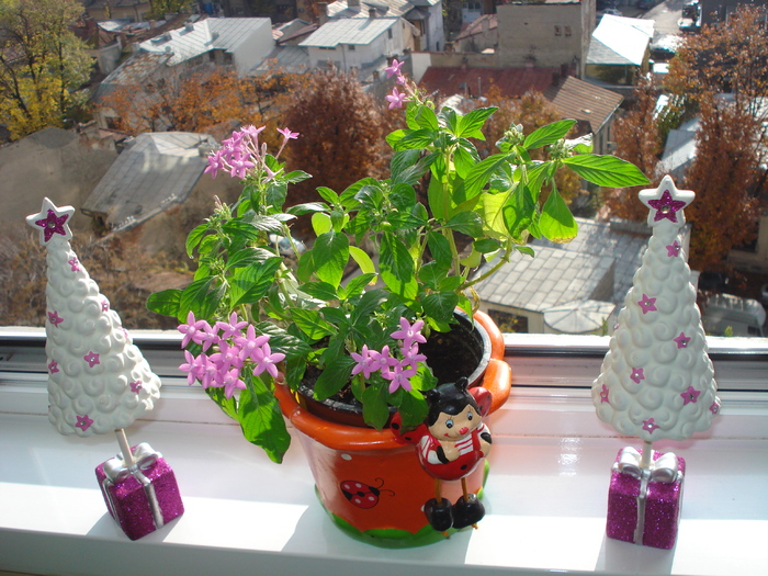 PENTAS