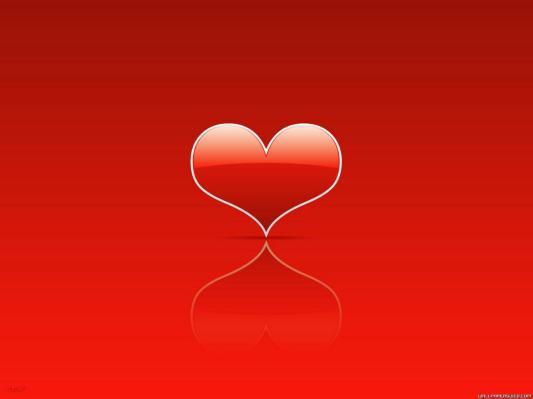 ai189984n1040031_540_400