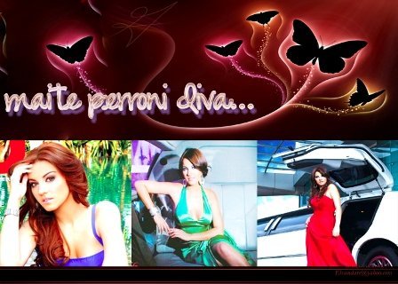 7330_1052595174586_1816996980_104833_7391042_n