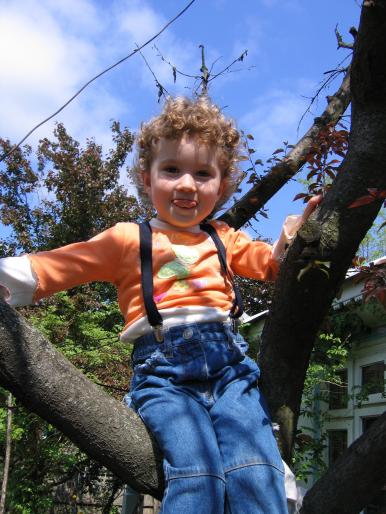 IMG_5871 - flori si floricele