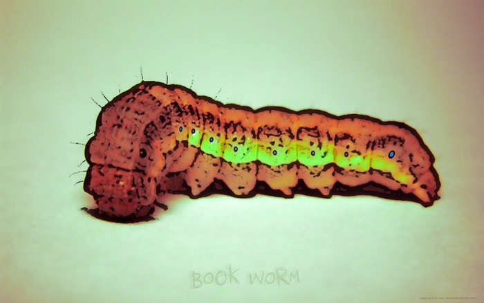 00102_bookworm_1440x900 - Wallpaper Amestecate