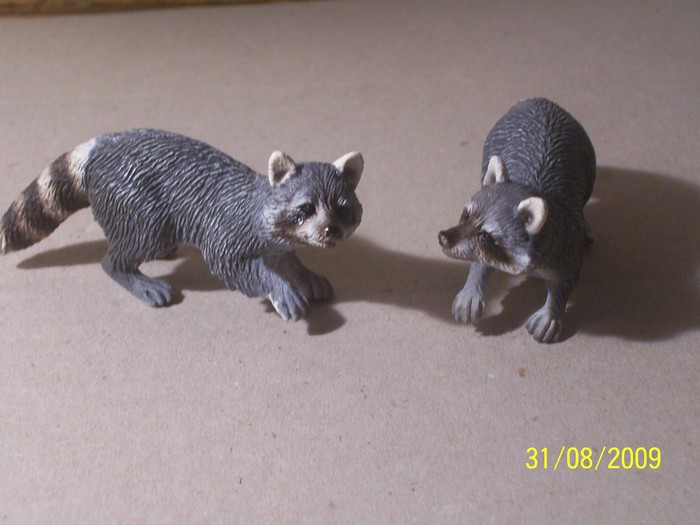 ratoni - animale SCHLEICH