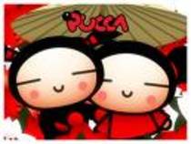 pucca (33)