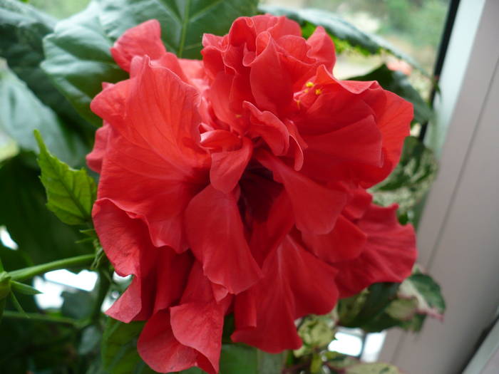 P1140168