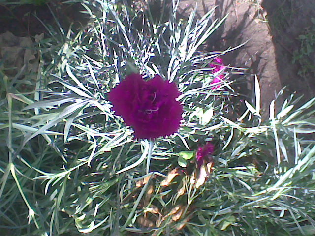 Imag042