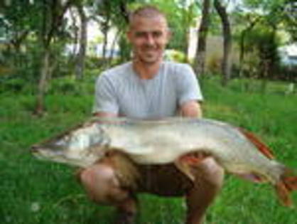 marius1