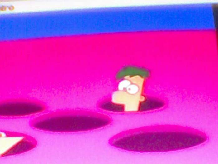 snapshot-194 - Pineas si Ferb