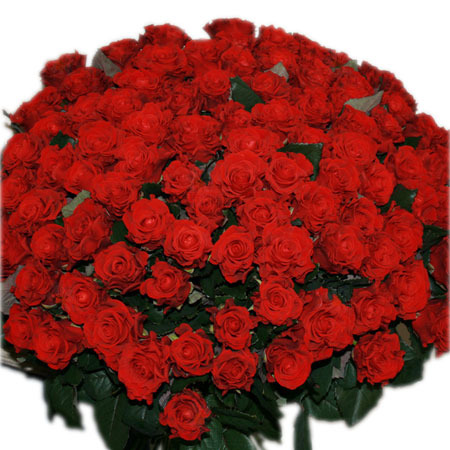 buchet-flori-cadou-101-trandafiri - FloRi