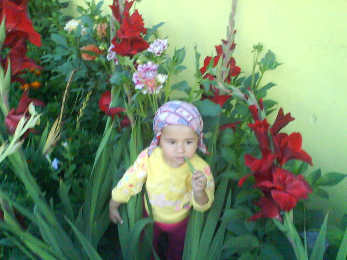 DSC00619
