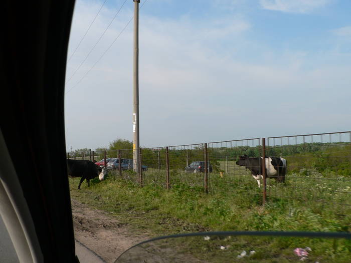 P1040896