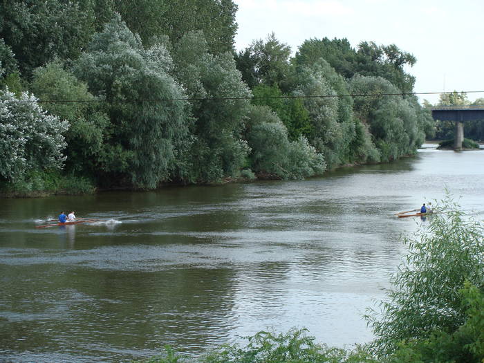 Memorial Sorin Lobont Editia a IX a (2008) - Memorial Sorin Lobont Editia a IX a - 2008
