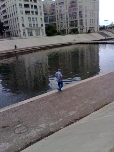 Imagine1341 - ApiMondia