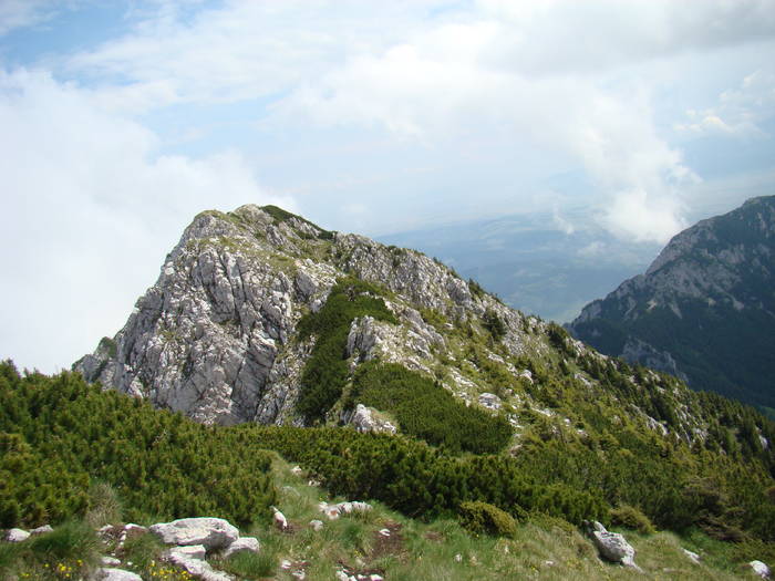 DSC03797 - Concediu 2009