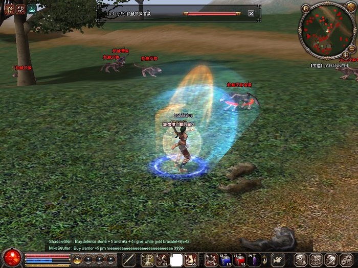 1214_113207 - metin 35 pserver poze noi