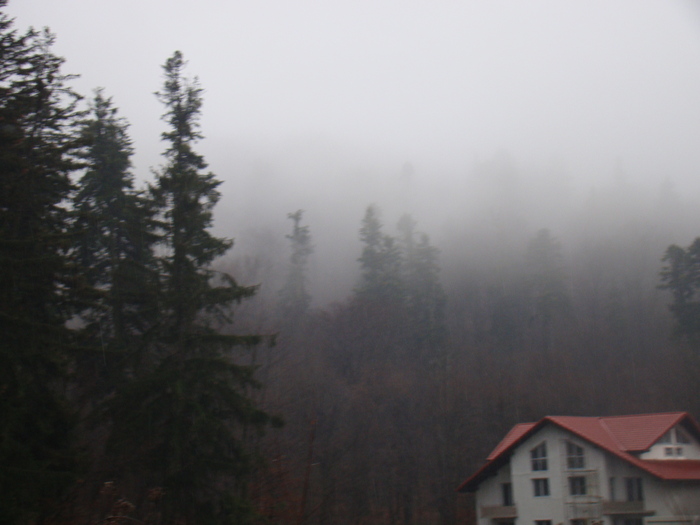 DSC00942