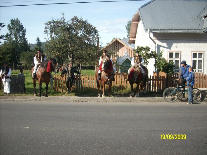 Picture 200 - nunta cu cai in Bucovina 2009 in Campulung moldovensc Suceava