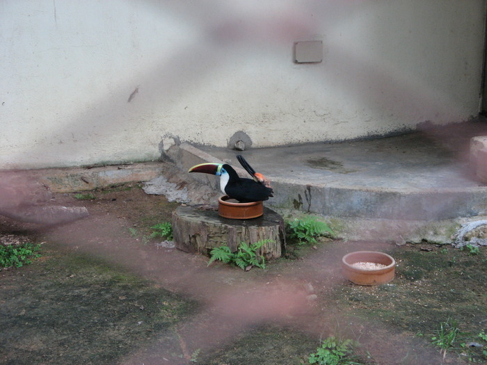 IMG_0168 - 2_1 - Kuala Lumpur Bird Park