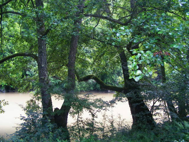DSCF2607