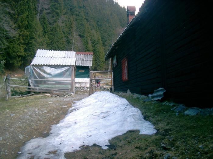 04120063 - Iezer-Papusa