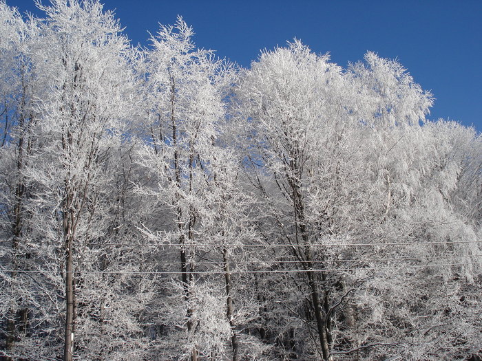  - Suior- Mogosa -Maramures