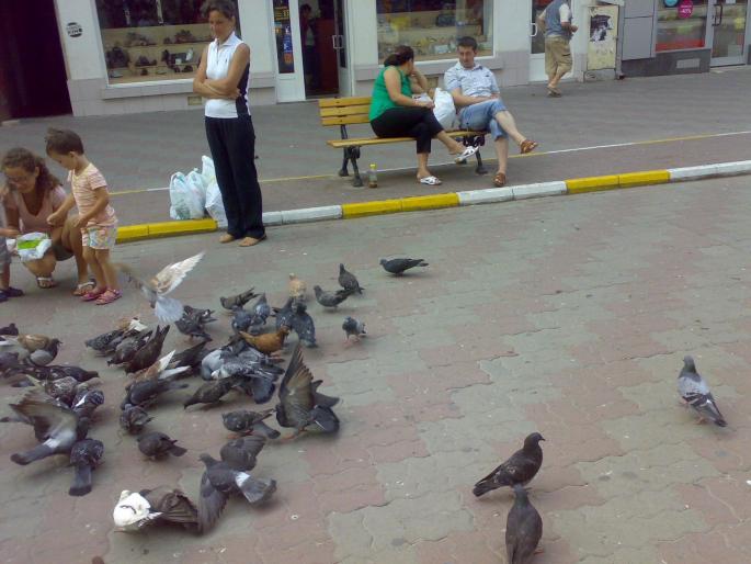 23072008658 - 18a Constanta 1