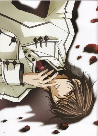 a_3270[1] - Vampire Knight