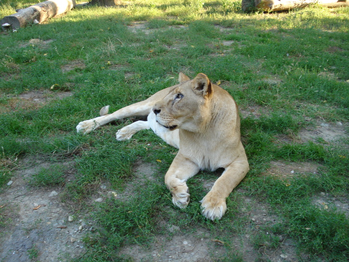 Picture 001
