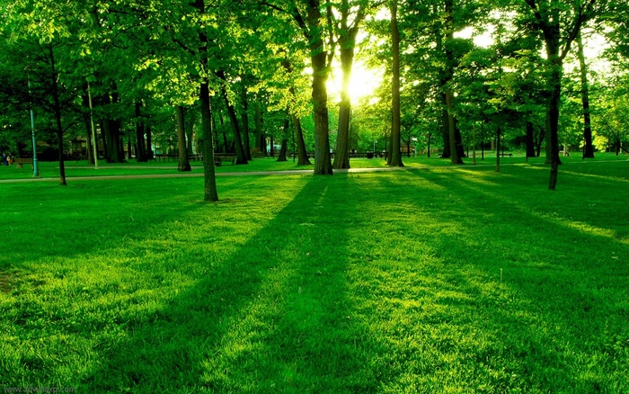 digital_clarity_6 - 171 - Nature Wallpapers
