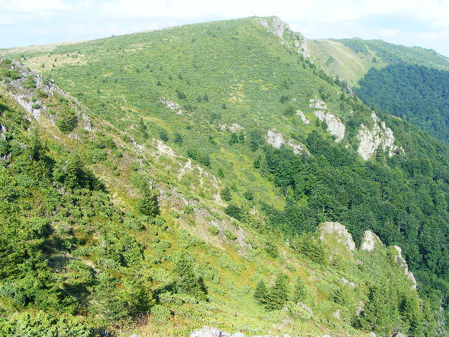 DSCF4481
