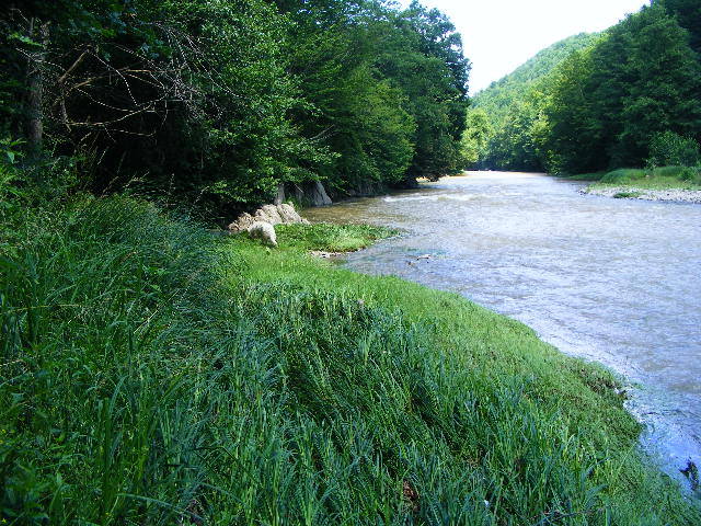 DSCF2615