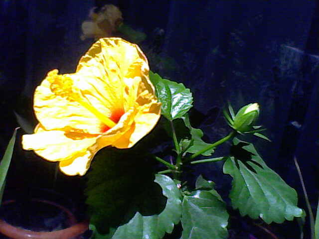 11-07-09_142821