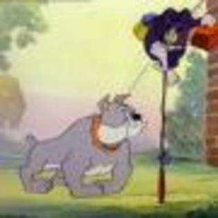 Tom_and_Jerry_1236209280_0_1965 - poze tom and jerry
