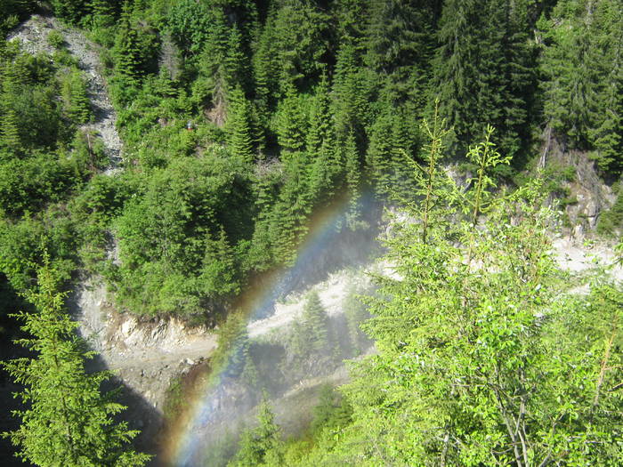 VALEA LATORITEI 14.06.2009, 196 - VALEA LATORITEI