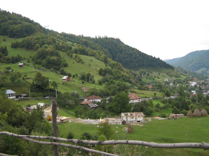 IMG_0102 - Valea Cheii-Podul Dambovicioarei-Piatra Craiului