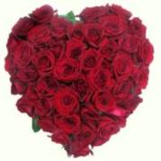 inima_poze_42-150x150