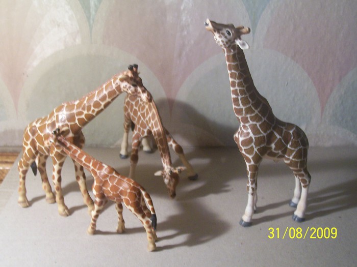 girafe - animale SCHLEICH