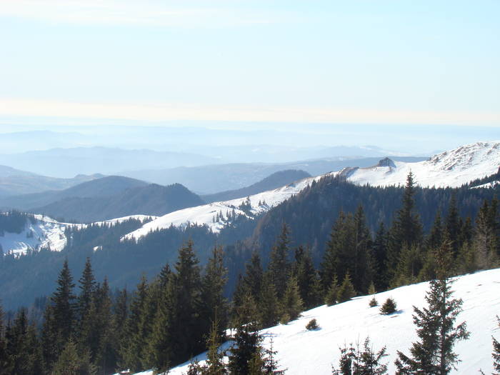 DSC01126 - Bucegi - Valea Izvorul Dorului-Padina