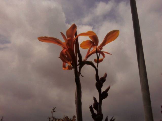 Foto0380