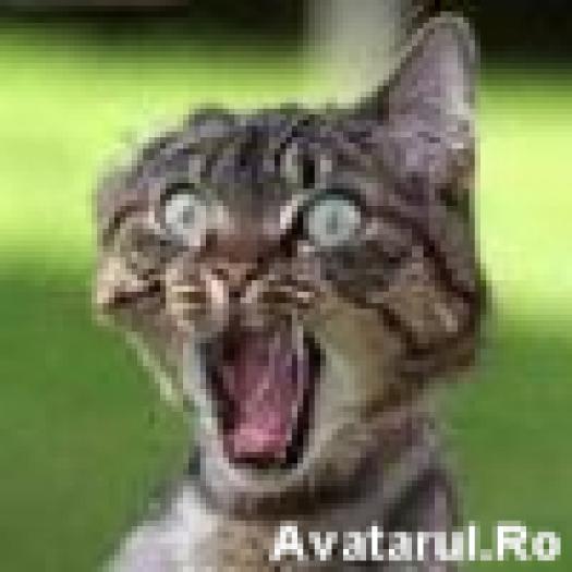 avatar_31[1]