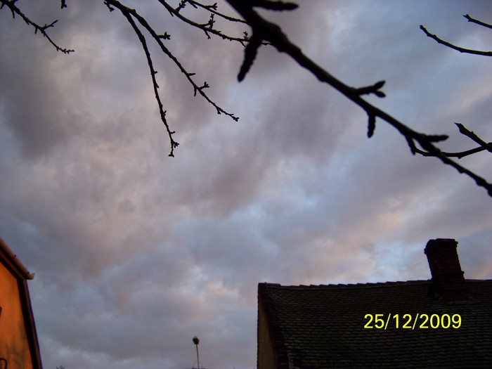 100_7882 - Sfarsit de decembrie 2009