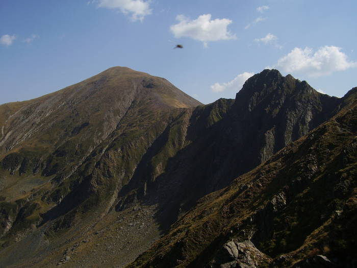 P9060093 - muntii fagarasului