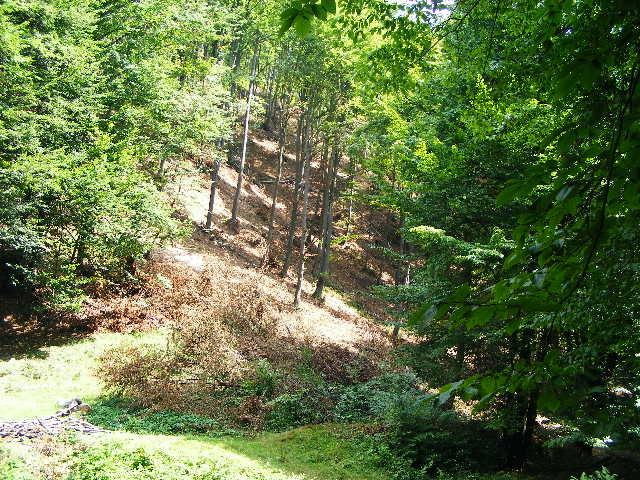 DSCF4849 - Firiza_Maramures