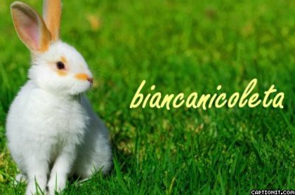 biancanicoleta