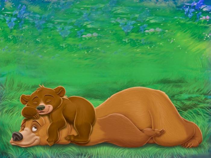 hermano-oso-892584[1]