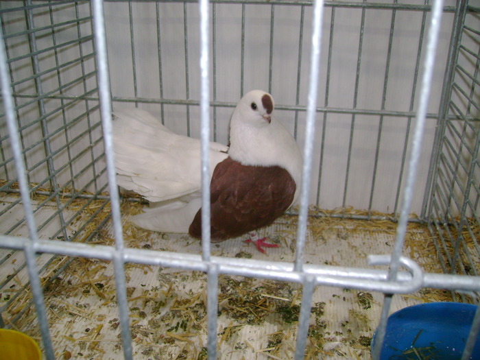 leipzig dec 2009 052