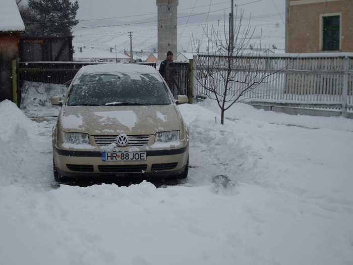 Pici a forgoszelben=In furtuna...