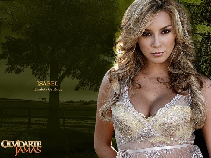 elizabethgutierrez1viss4