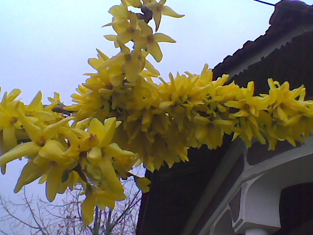 Imag017