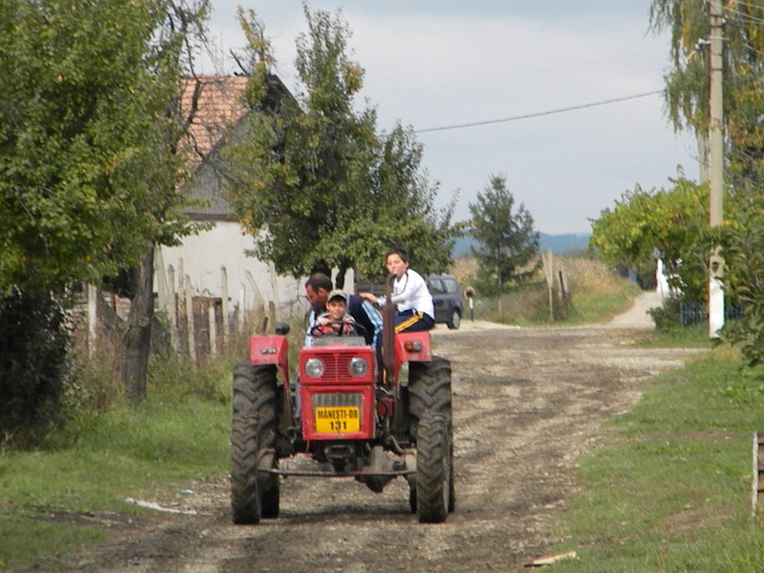 DSCN3206 - Copie - LIVADA DE MERI - TARGOVISTE