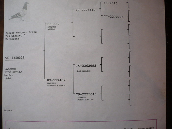 P1050456 - 7-PEDIGREE